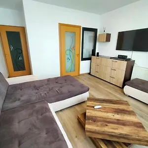  Проживание в семье Lake View